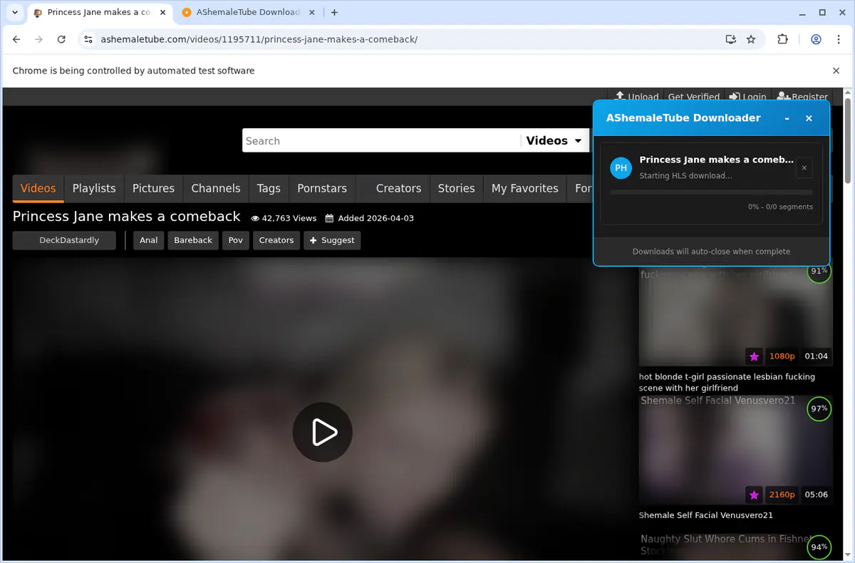 Ashemaletube Video Downloader browser extension screenshot 3