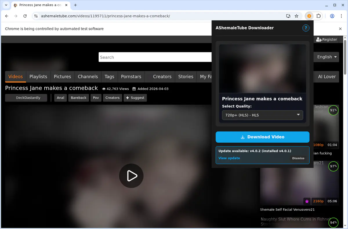 Ashemaletube Video Downloader browser extension screenshot 4